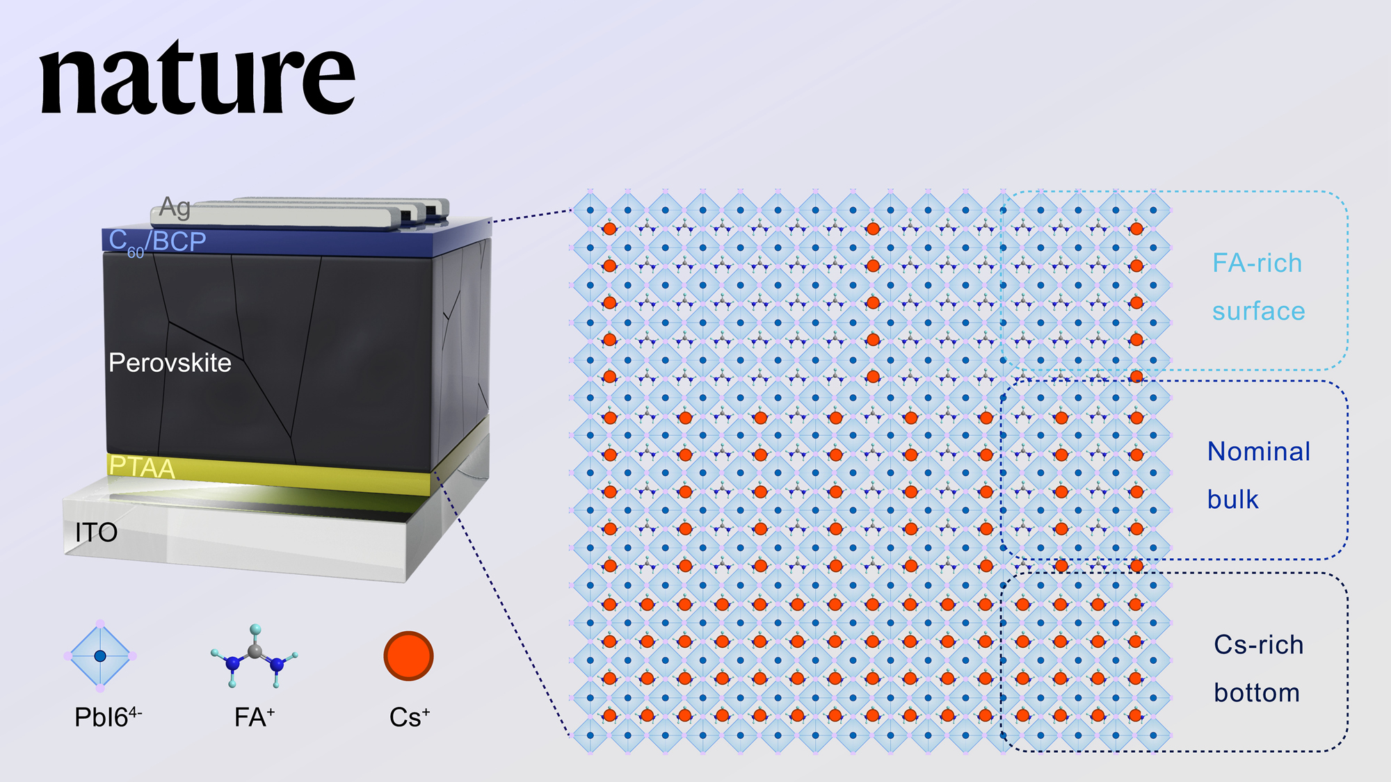 科學(xué)島團(tuán)隊(duì)破解鈣鈦礦電池壽命基因難題